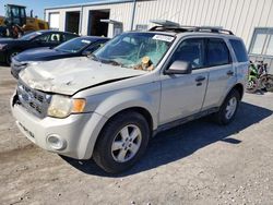 Ford Escape xlt salvage cars for sale: 2009 Ford Escape XLT