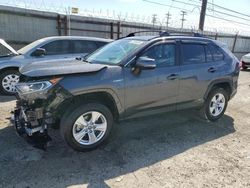 Salvage cars for sale at Los Angeles, CA auction: 2019 Toyota Rav4 XLE