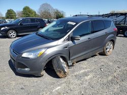 Salvage cars for sale at Mocksville, NC auction: 2013 Ford Escape SEL