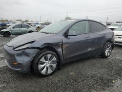 Salvage cars for sale at Eugene, OR auction: 2023 Tesla Model Y