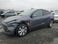 Tesla Model y salvage cars for sale: 2023 Tesla Model Y