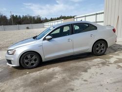 Volkswagen Vehiculos salvage en venta: 2014 Volkswagen Jetta GLI