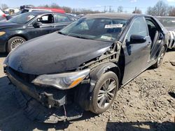 Salvage cars for sale from Copart Hillsborough, NJ: 2015 Toyota Camry LE