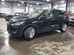 2020 Ford Escape SE for sale in Ham Lake, MN