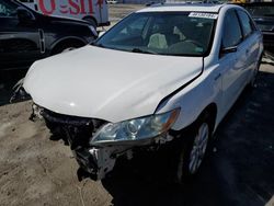 Toyota Camry Hybrid salvage cars for sale: 2007 Toyota Camry Hybrid