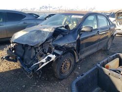 Salvage cars for sale at Magna, UT auction: 2005 Toyota Corolla CE