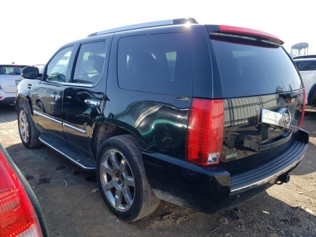 2011 Cadillac Escalade Luxury