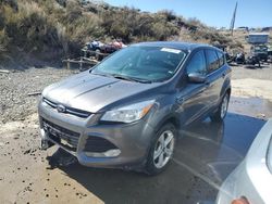 Salvage cars for sale from Copart Reno, NV: 2013 Ford Escape SE