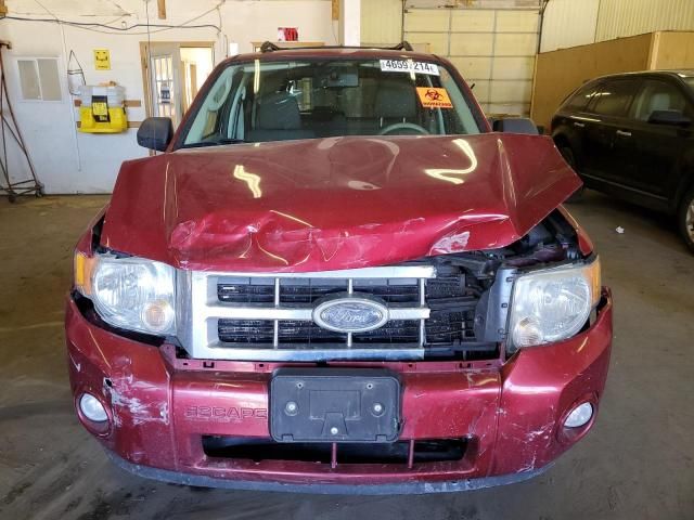 2009 Ford Escape XLT