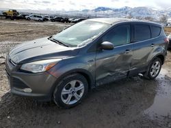 Ford Escape SE salvage cars for sale: 2014 Ford Escape SE