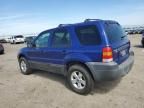 2005 Ford Escape XLT