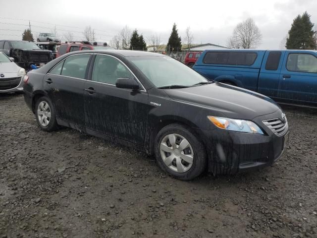 2009 Toyota Camry Hybrid