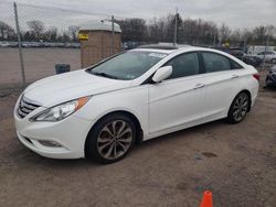 Salvage cars for sale from Copart Chalfont, PA: 2013 Hyundai Sonata SE