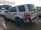 2008 Ford Escape XLS