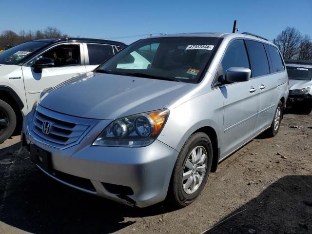 2010 Honda Odyssey EXL