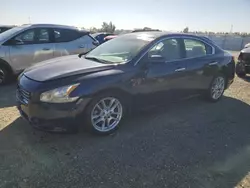 Salvage cars for sale at Antelope, CA auction: 2010 Nissan Maxima S