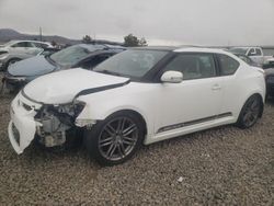 Salvage cars for sale from Copart Reno, NV: 2011 Scion TC