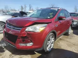 Salvage cars for sale at Bridgeton, MO auction: 2014 Ford Escape Titanium