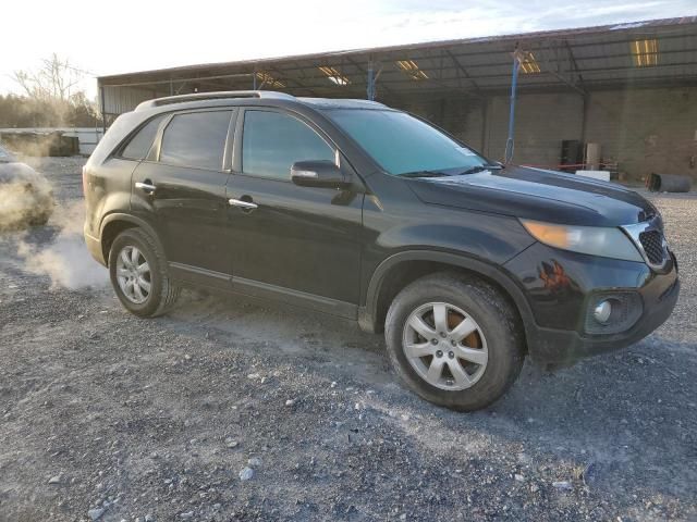 2011 KIA Sorento Base