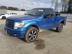 Vehiculos salvage en venta de Copart Dunn, NC: 2010 Ford F150