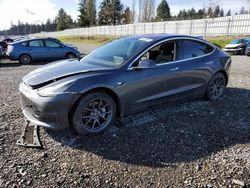 Salvage cars for sale at Graham, WA auction: 2017 Tesla Model 3