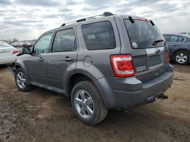 2011 Ford Escape Limited