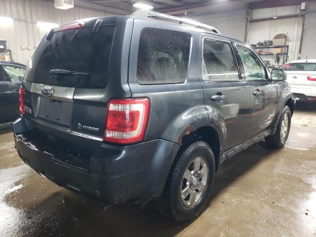 2010 Ford Escape Hybrid