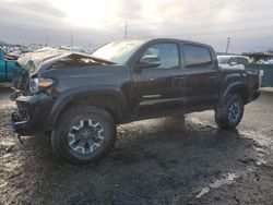 Salvage cars for sale from Copart Eugene, OR: 2023 Toyota Tacoma Double Cab