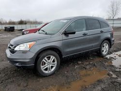 Salvage cars for sale at Columbia Station, OH auction: 2011 Honda CR-V EX