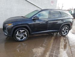 2023 Hyundai Tucson Limited en venta en Hillsborough, NJ