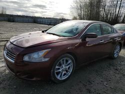 Nissan salvage cars for sale: 2010 Nissan Maxima S