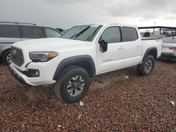 Salvage cars for sale at Phoenix, AZ auction: 2023 Toyota Tacoma Double Cab