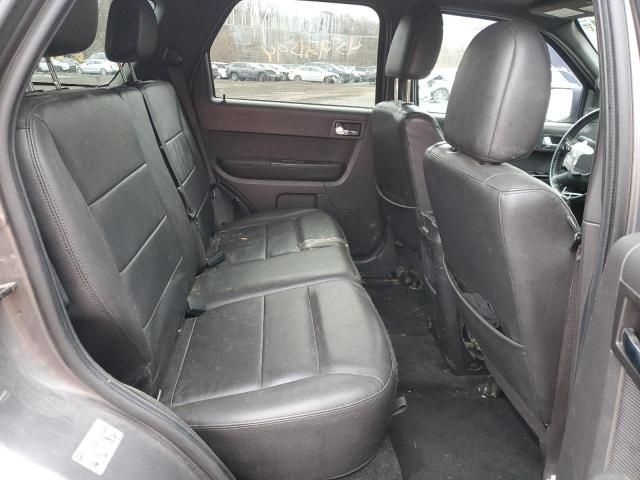 2011 Ford Escape Limited