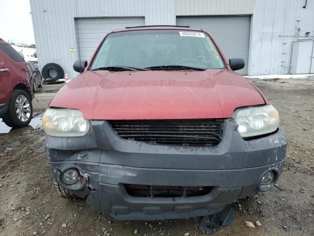 2005 Ford Escape XLT