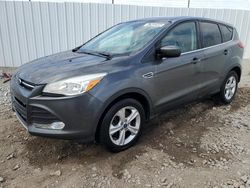 Salvage cars for sale from Copart Louisville, KY: 2016 Ford Escape SE