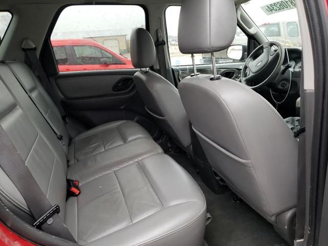 2006 Ford Escape XLT