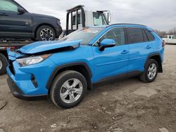 Salvage cars for sale from Copart Columbus, OH: 2021 Toyota Rav4 XLE