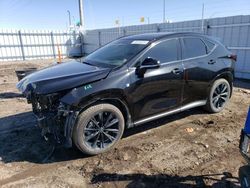 Salvage cars for sale at Greenwood, NE auction: 2023 Lexus NX 350