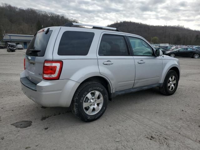 2011 Ford Escape Limited