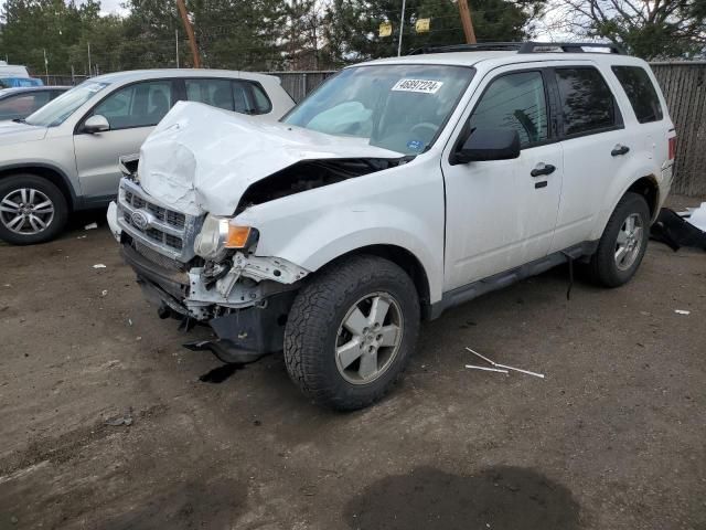 2011 Ford Escape XLT