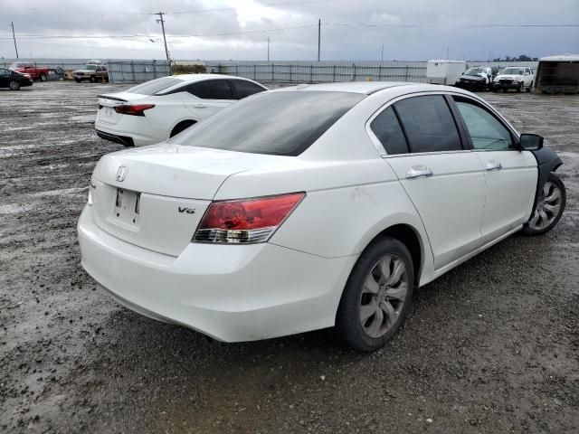 2008 Honda Accord EXL