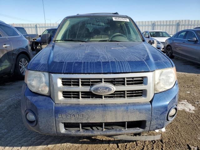 2008 Ford Escape XLT