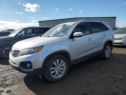 Salvage cars for sale from Copart Rocky View County, AB: 2011 KIA Sorento EX