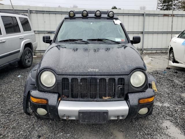 2003 Jeep Liberty Renegade