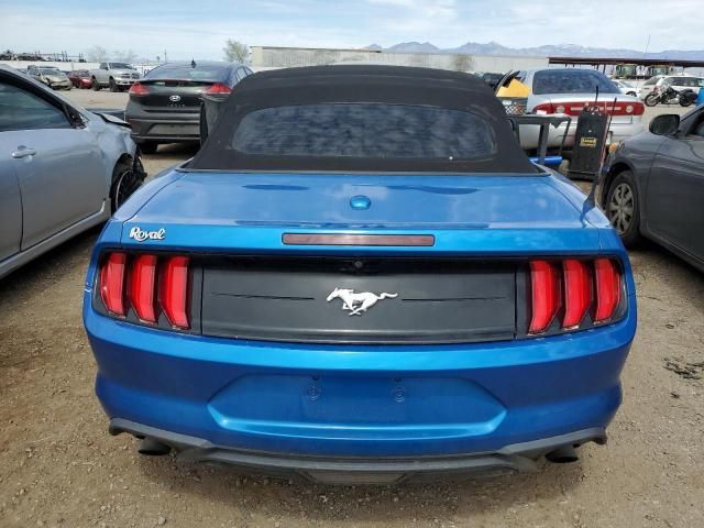 2019 Ford Mustang