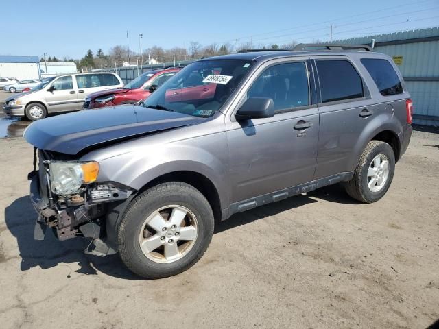 2010 Ford Escape XLT