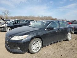 Salvage cars for sale at Des Moines, IA auction: 2013 Lexus ES 350