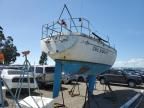 2000 Island Runner Marine Lot