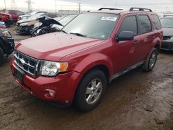 Ford Escape XLT salvage cars for sale: 2009 Ford Escape XLT