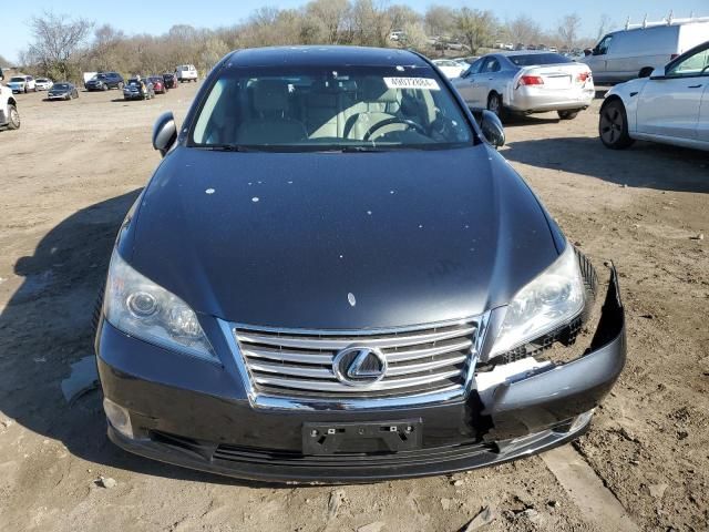 2010 Lexus ES 350